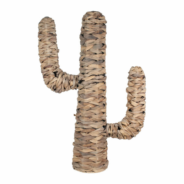 Decoratieve cactus van palm en zeegras – middel